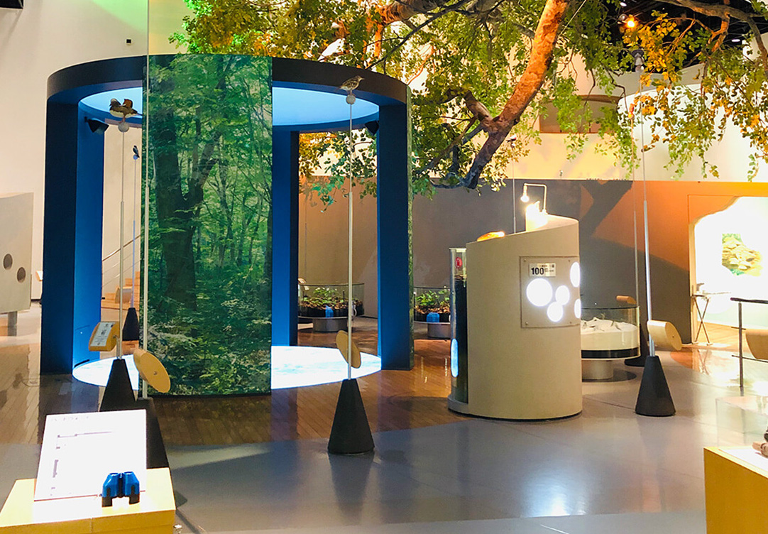 白神産地ビジターセンターの展示ホール