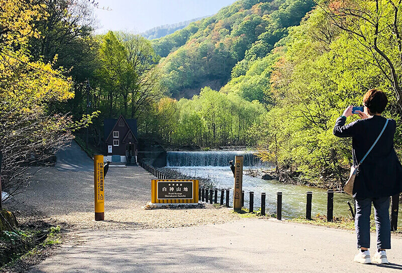 白神山地の入り口